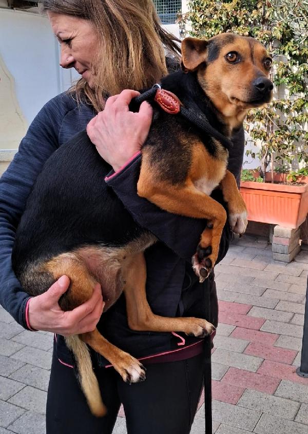 Mirtilla Cagnolina Dolcissima